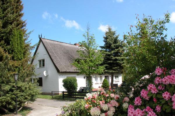 Meeressterne Ferienresort Damerow Koserow Exterior foto